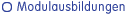 Modulausbildungen